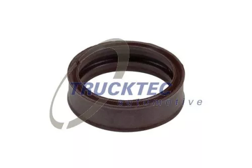 Seal Ring, gearshift linkage