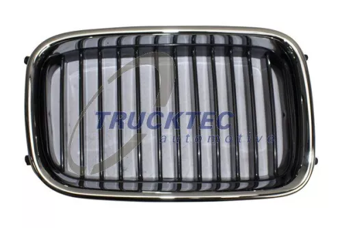 Radiator Grille