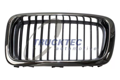 Radiator Grille