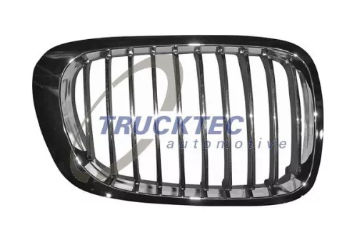 Radiator Grille