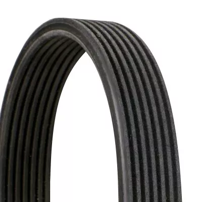 CONTINENTAL CTAM V-ribbed Belt (7DPK2074)
