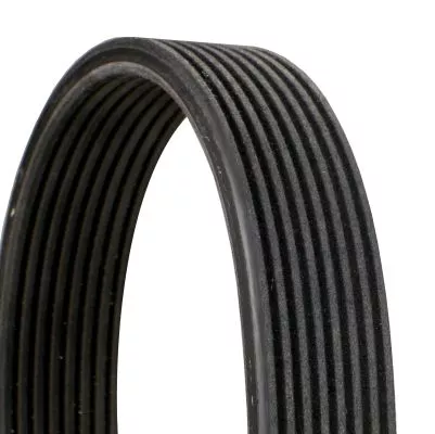 CONTINENTAL CTAM V-ribbed Belt (8DPK1833)