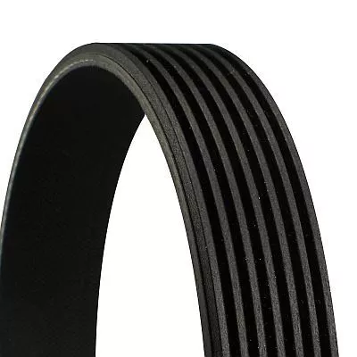 CONTINENTAL CTAM V-ribbed Belt (7PK1855)