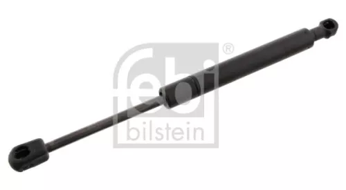 1x Gas Spring, bonnet