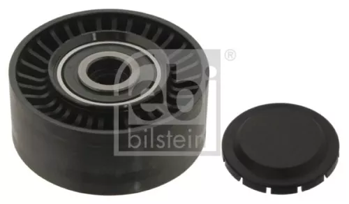 1x Deflection/Guide Pulley, V-ribbed belt