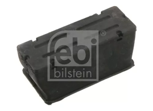 1x Bushing, leaf spring