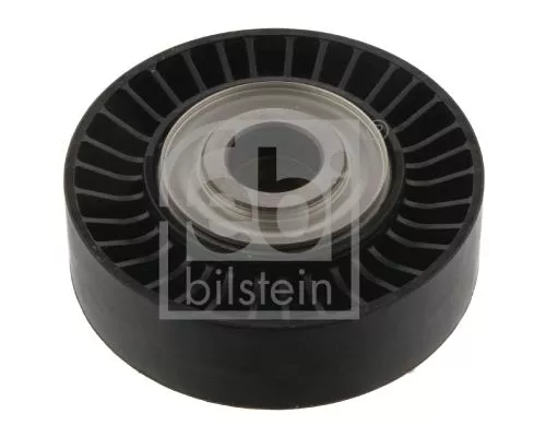 1x Deflection/Guide Pulley, V-ribbed belt
