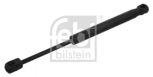1x Gas Spring, bonnet