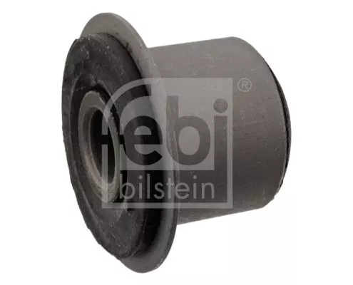 1x Bushing, leaf spring