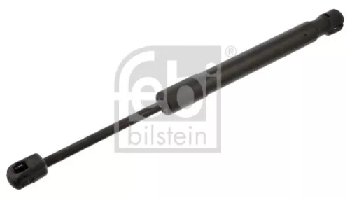 1x Gas Spring, bonnet