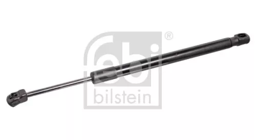 1x Gas Spring, bonnet