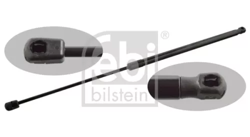 1x Gas Spring, bonnet