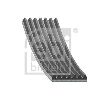 FEBI BILSTEIN 1x V-Ribbed Belt (176707)