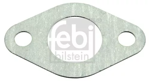 1x Gasket, oil cooler