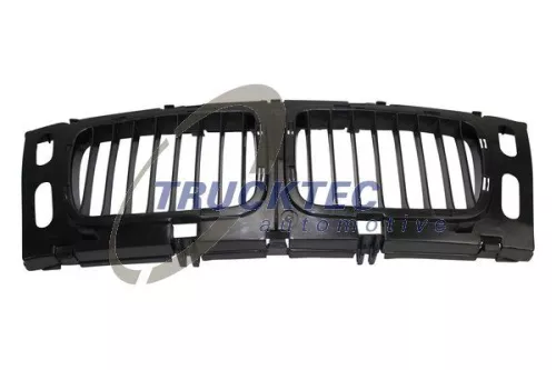 TRUCKTEC AUTOMOTIVE Radiator Grille (08.62.234)
