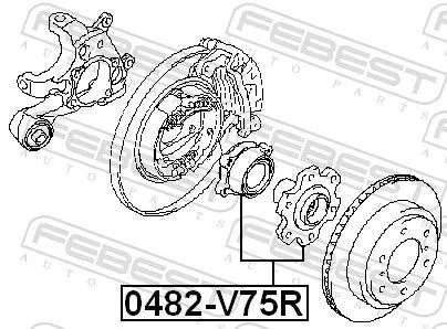 FEBEST Wheel Hub (0482-V75R)