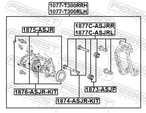 FEBEST Brake Caliper (1077-T300RRH)