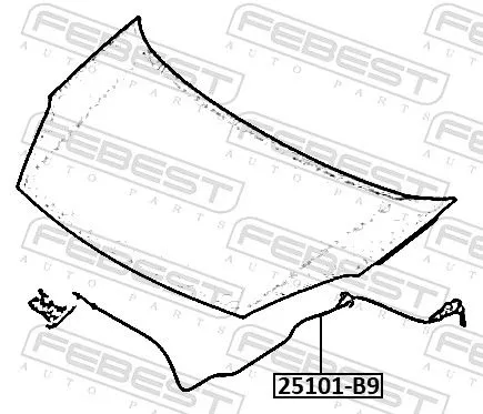 FEBEST Bonnet Cable (25101-B9)