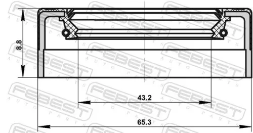 FEBEST Shaft Seal, differential (95NES-45650909C)