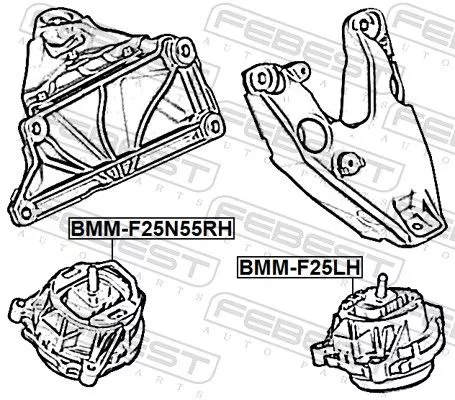 FEBEST Mounting, engine (BMM-F25N55RH)