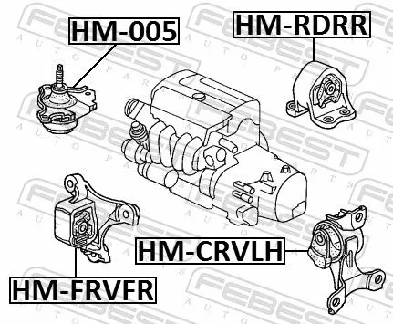FEBEST Mounting, engine (HM-RDRR)