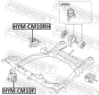FEBEST Mounting, engine (HYM-CM10F)