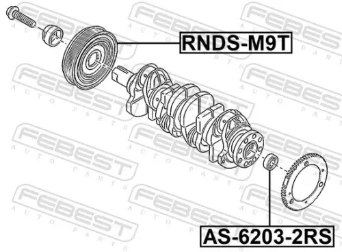 FEBEST Belt Pulley, crankshaft (RNDS-M9T)