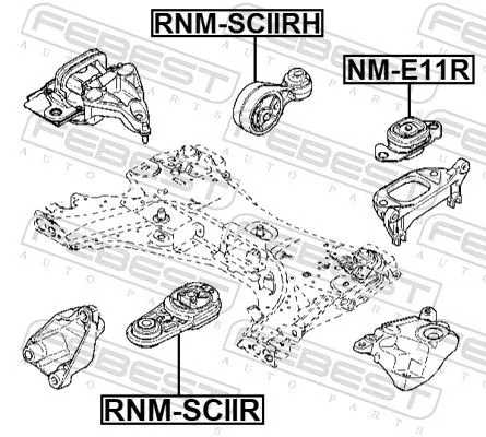 FEBEST Mounting, engine (RNM-SCIIRH)