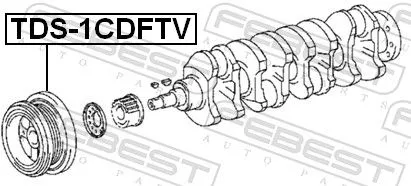FEBEST Belt Pulley, crankshaft (TDS-1CDFTV)