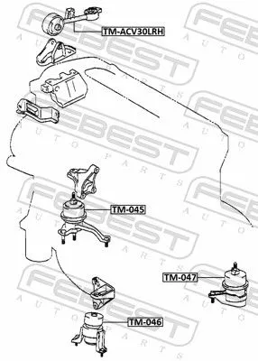 FEBEST Mounting, engine (TM-ACV30LRH)