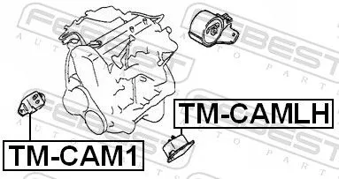 FEBEST Mounting, engine (TM-CAMLH)