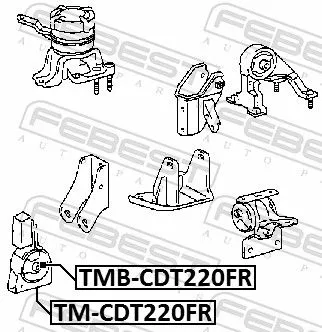 FEBEST Mounting, engine (TM-CDT220FR)