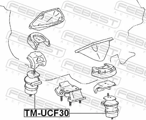 FEBEST Mounting, engine (TM-UCF30)