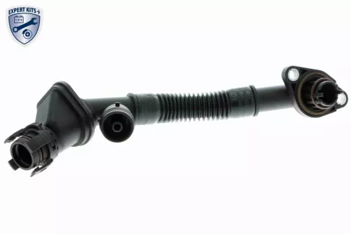 Hose, crankcase ventilation