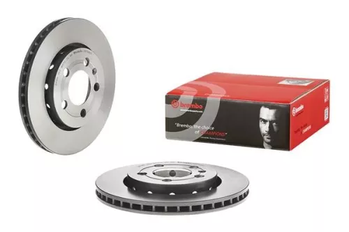 BREMBO Brake Disc (09.C548.11)