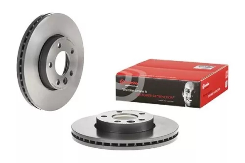 BREMBO Brake Disc (09.D211.11)