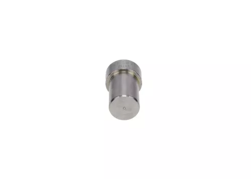 BOSCH Injector Nozzle (0434250072)