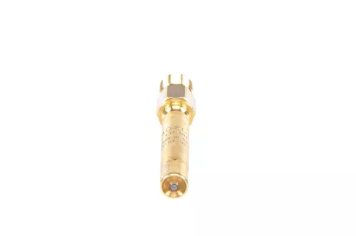 BOSCH Injector (0 437 502 058)