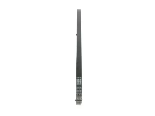 BOSCH V-ribbed Belt (1987946079)