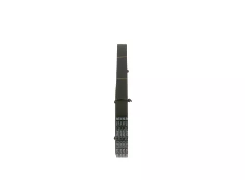 BOSCH V-ribbed Belt (1987947958)
