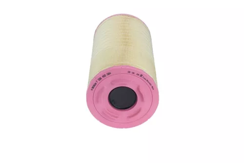BOSCH Air Filter (F 026 400 064)