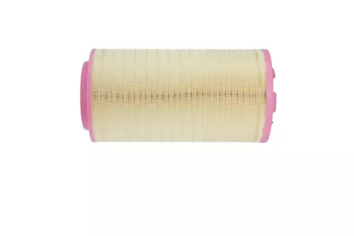 BOSCH Air Filter (F 026 400 064)