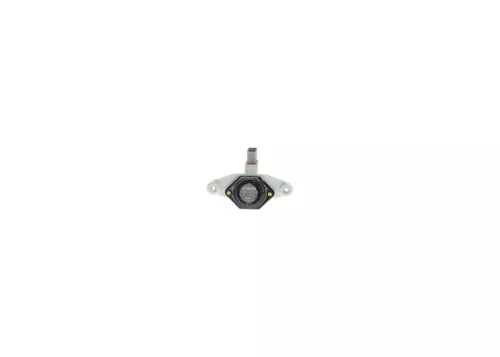 BOSCH Alternator Regulator (F04R320375)