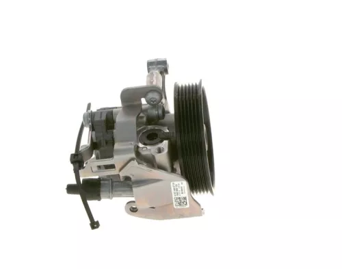 BOSCH Hydraulic Pump, steering (K S00 000 738)
