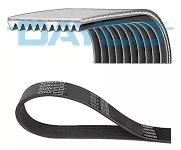 DAYCO V-Ribbed Belt (10PK1570HD)