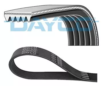 DAYCO V-Ribbed Belt (5PK1645S)