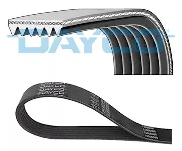 DAYCO V-Ribbed Belt (6PK1255HD)