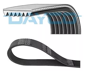 DAYCO V-ribbed Belt (7PK2285)