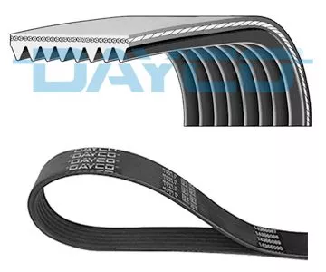 DAYCO V-ribbed Belt (8PK2440)