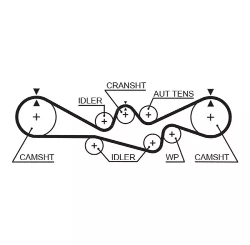Timing Belt